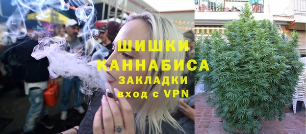 дурь Богданович