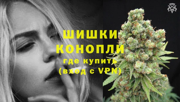 дурь Богданович